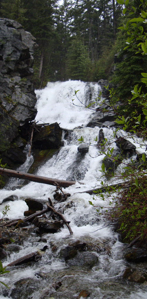 FoulgerGroup Information Waterfall