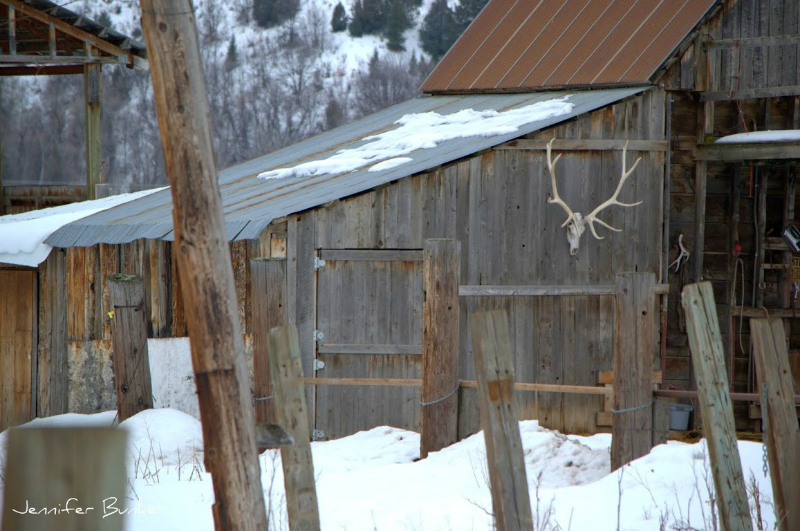 Jennifer Bunker Photograph 9